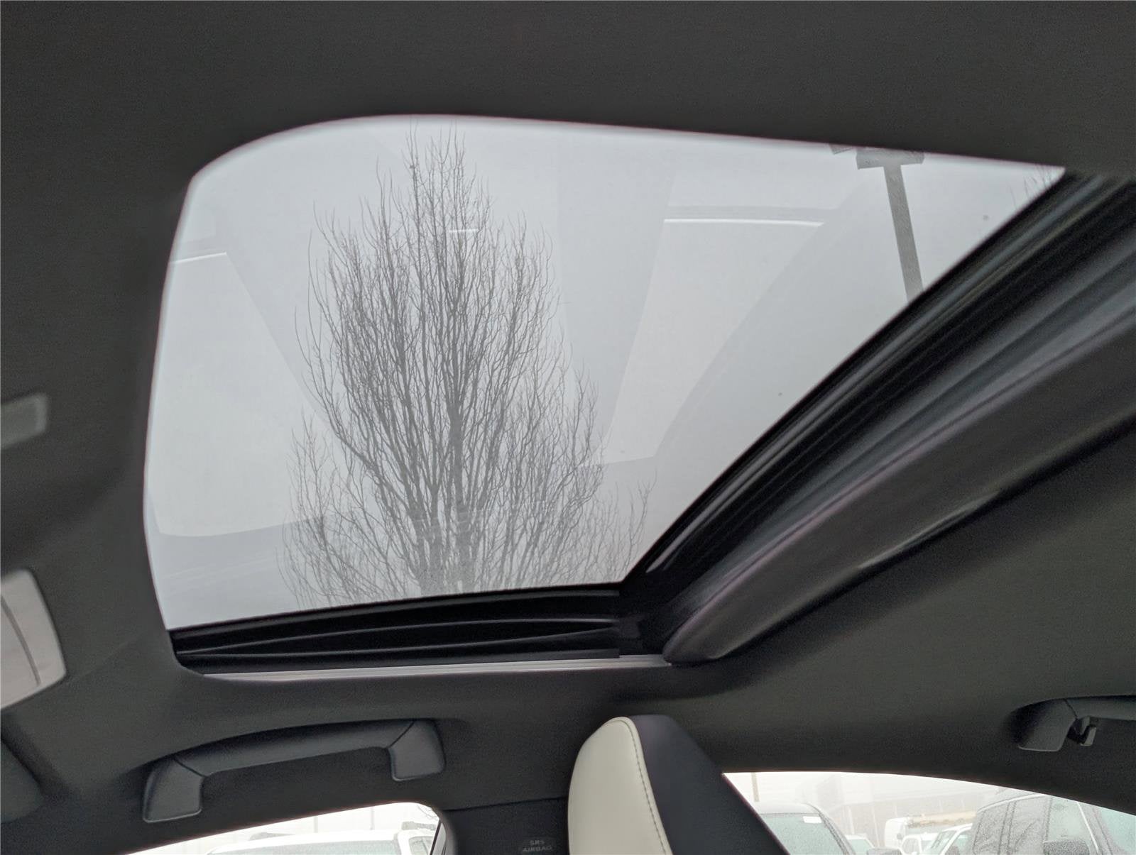 2023 Lexus IS 350 F SPORT RWD