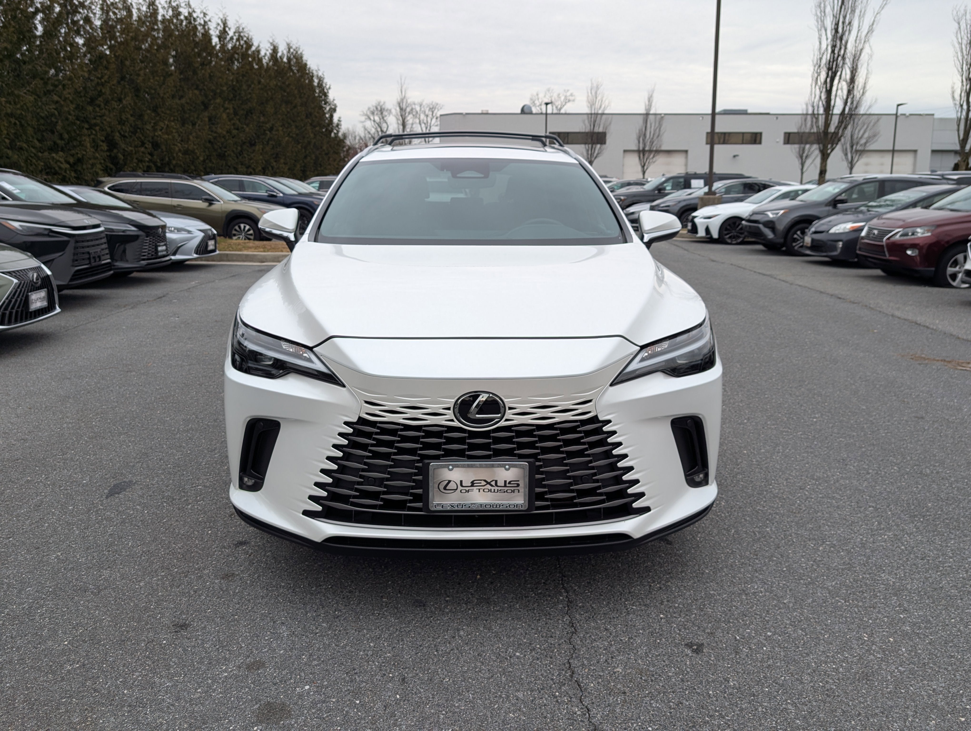 2024 Lexus RX 350 Premium