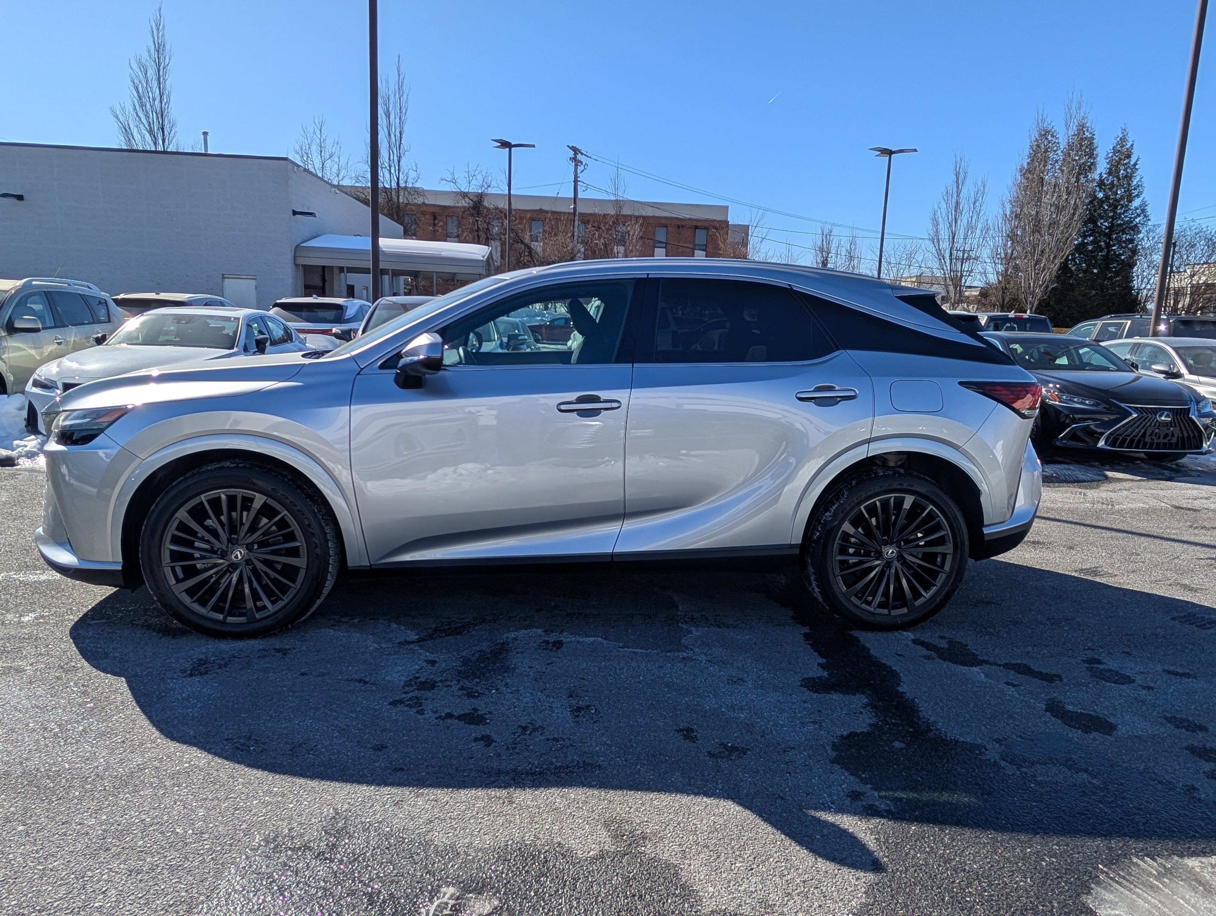 2025 Lexus RX RX 350 Premium