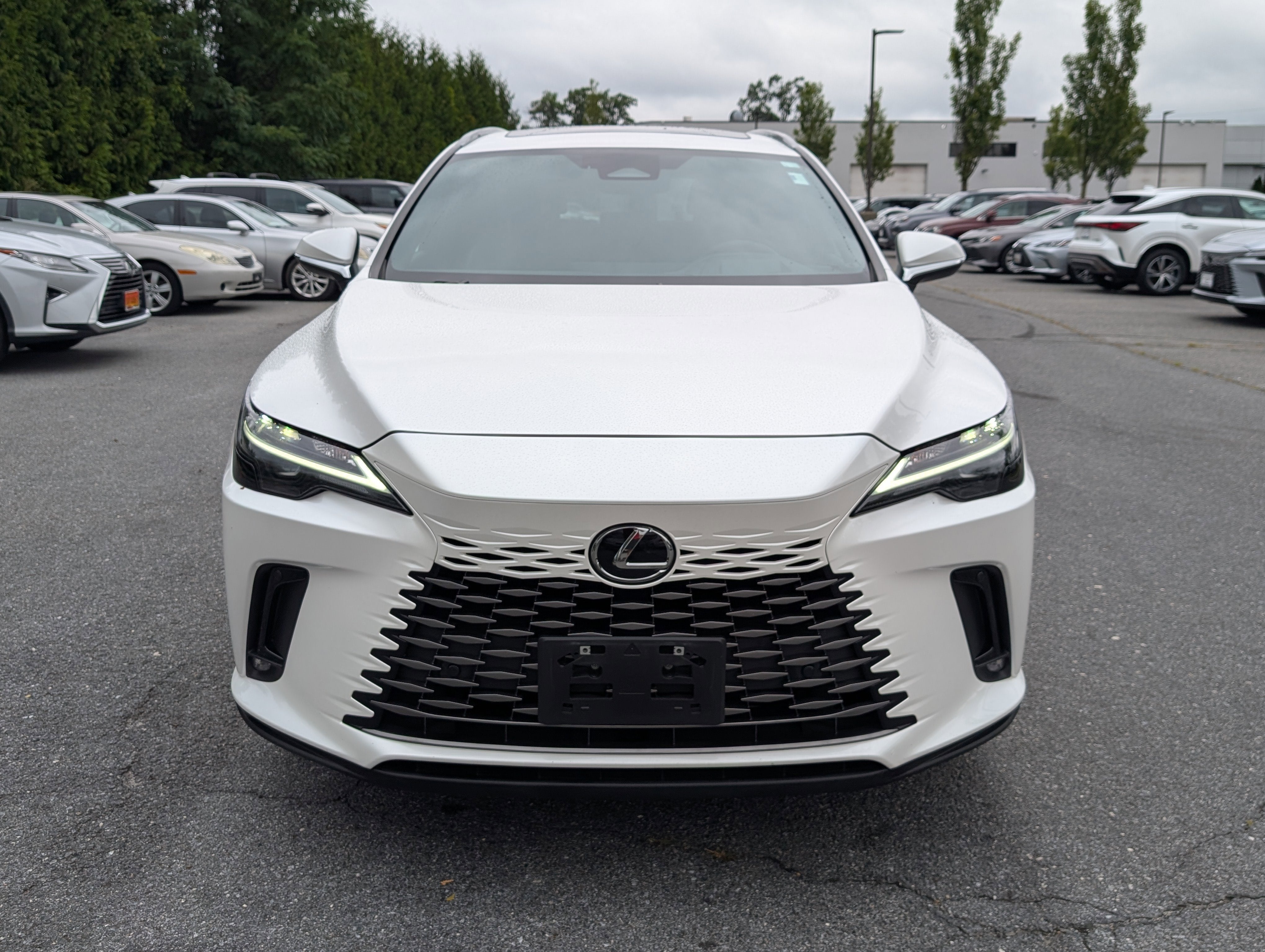 2023 Lexus RX RX 350h Premium Plus