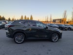 2024 Lexus NX 350 Luxury