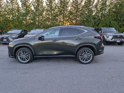 2024 Lexus NX 350 Luxury