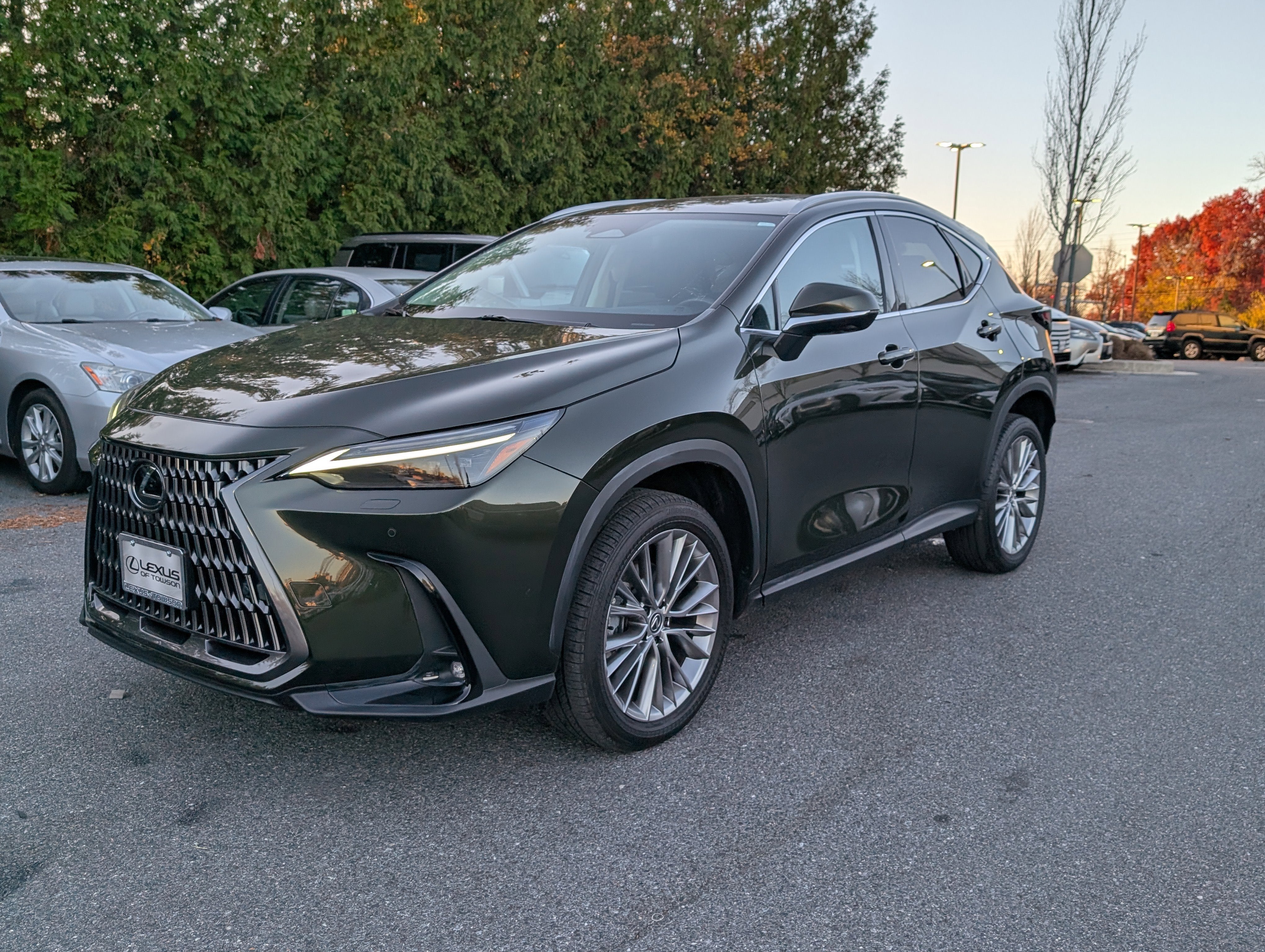 2024 Lexus NX 350 Luxury