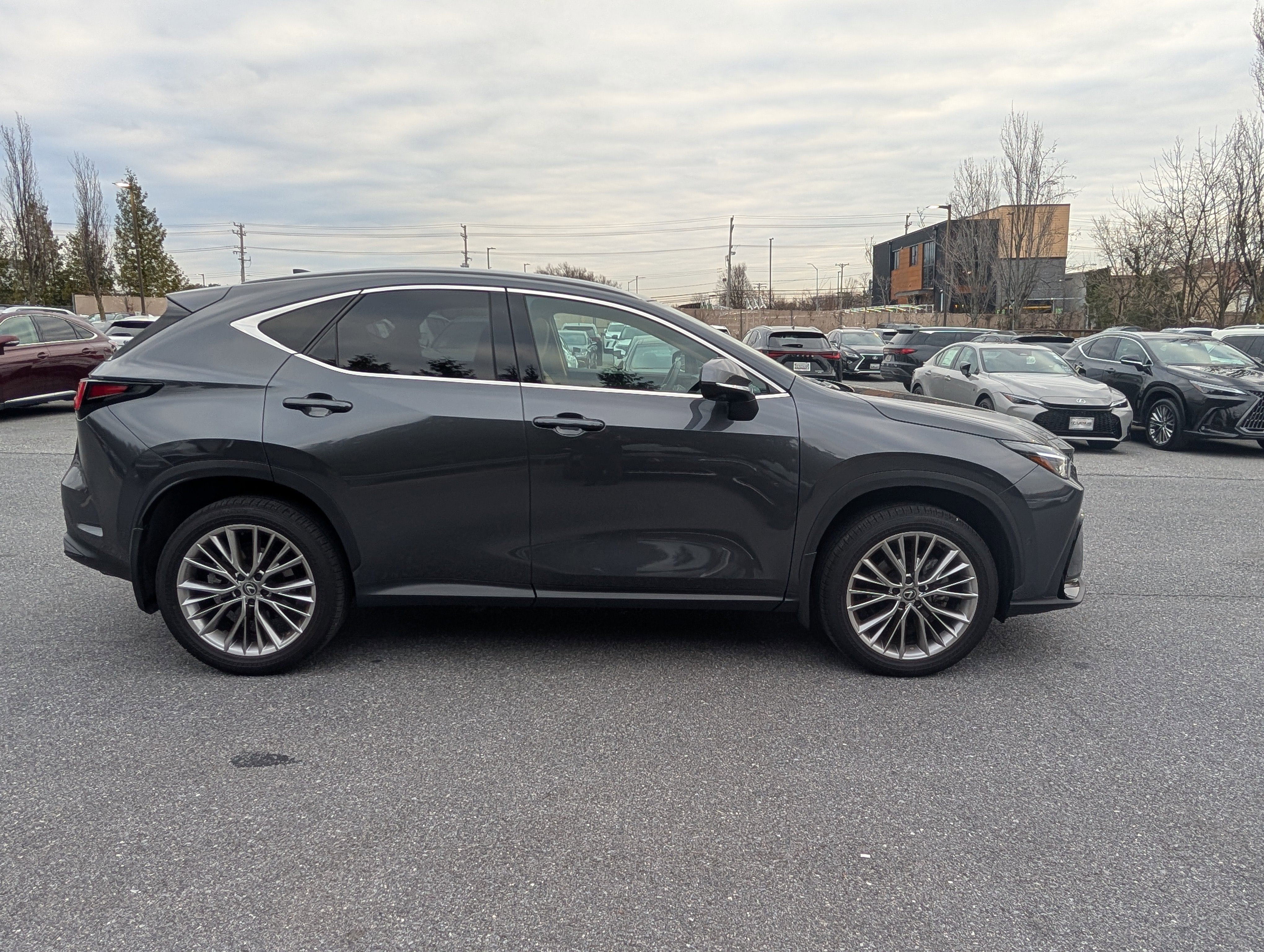 2025 Lexus NX 350 Luxury