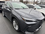 2025 Lexus NX 350 Luxury
