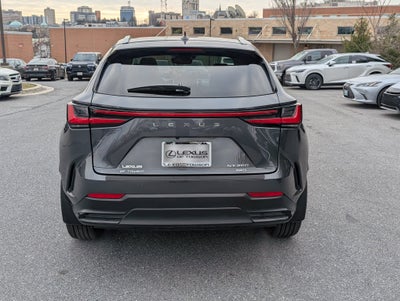 2025 Lexus NX 350 Luxury