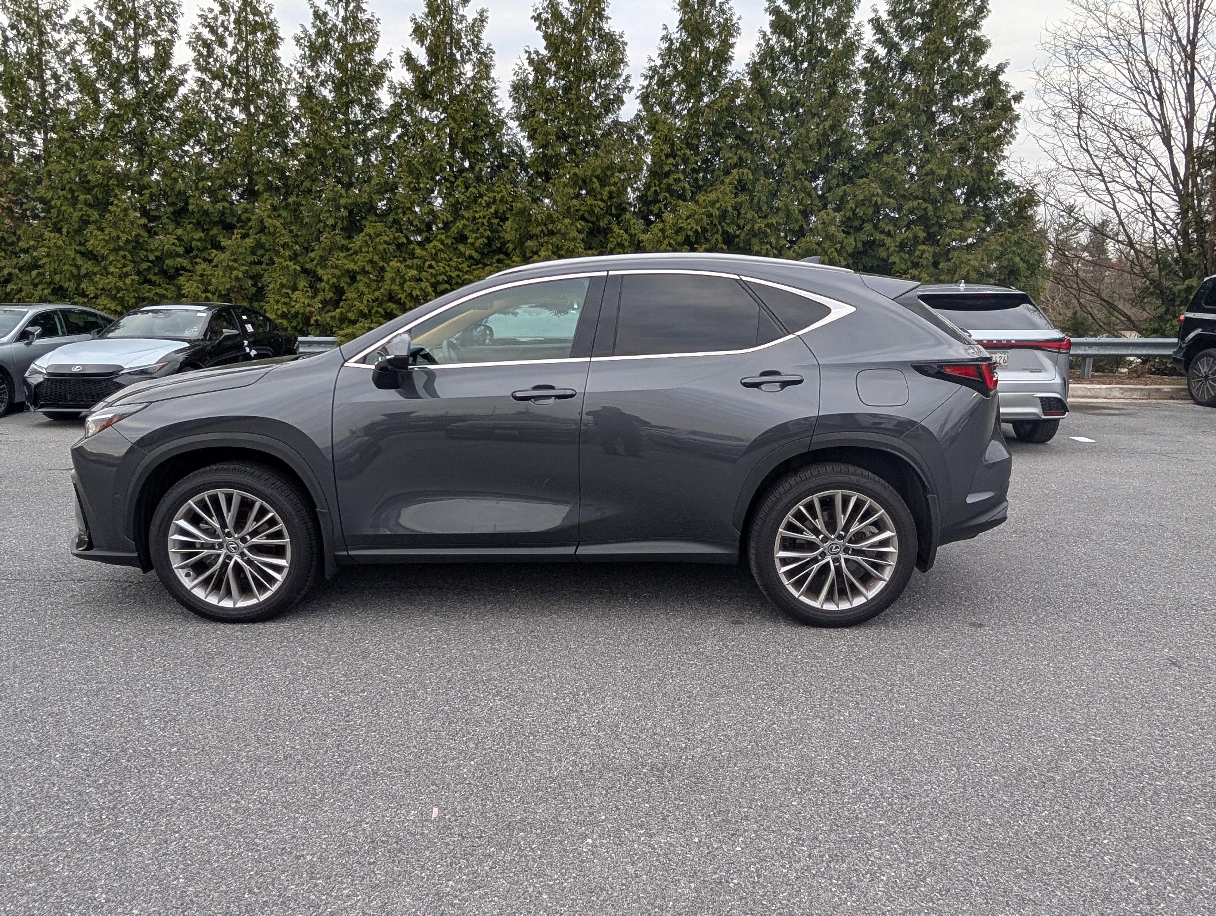 2025 Lexus NX 350 Luxury