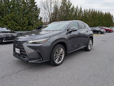 2025 Lexus NX 350 Luxury