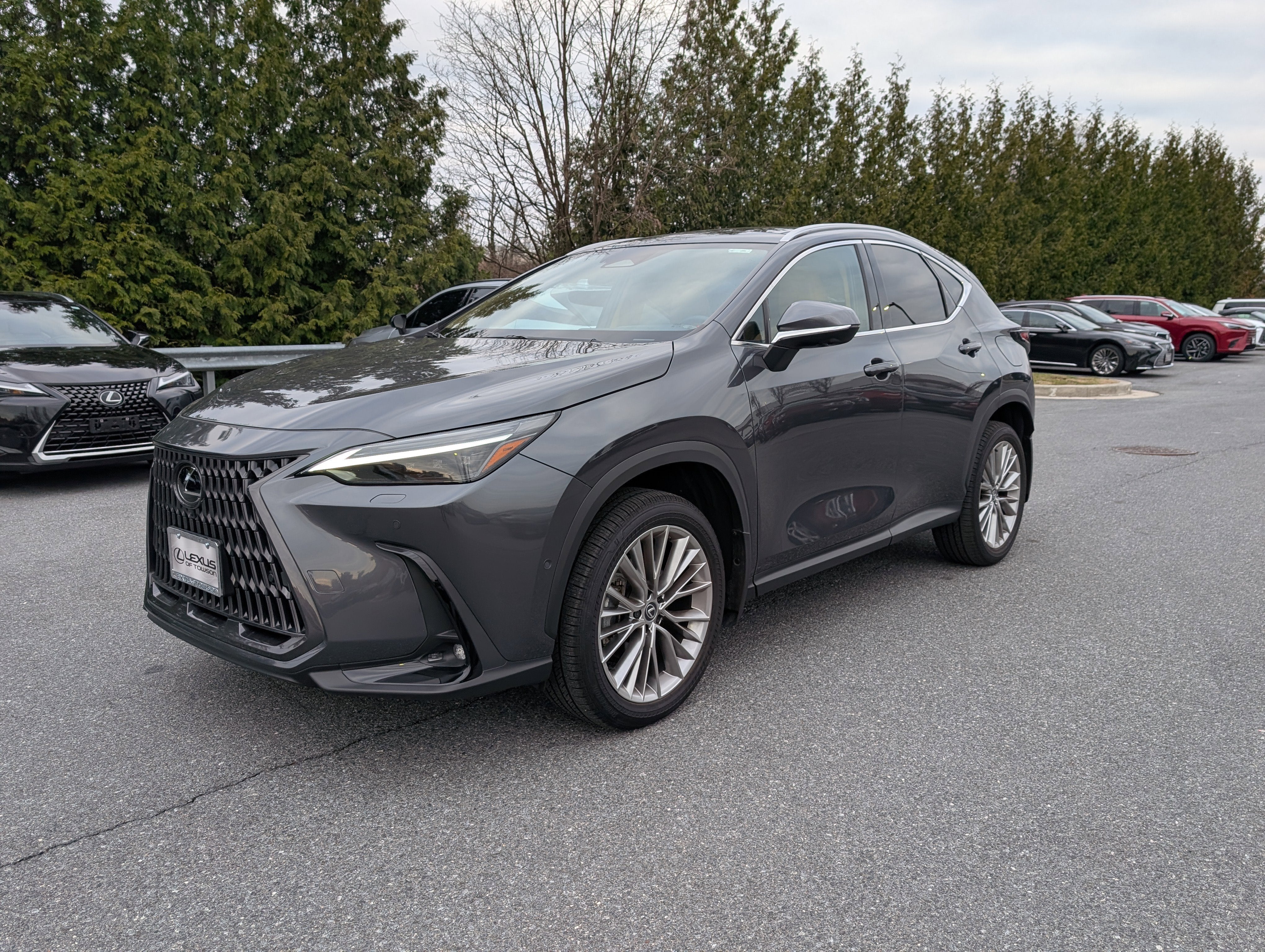 2025 Lexus NX 350 Luxury
