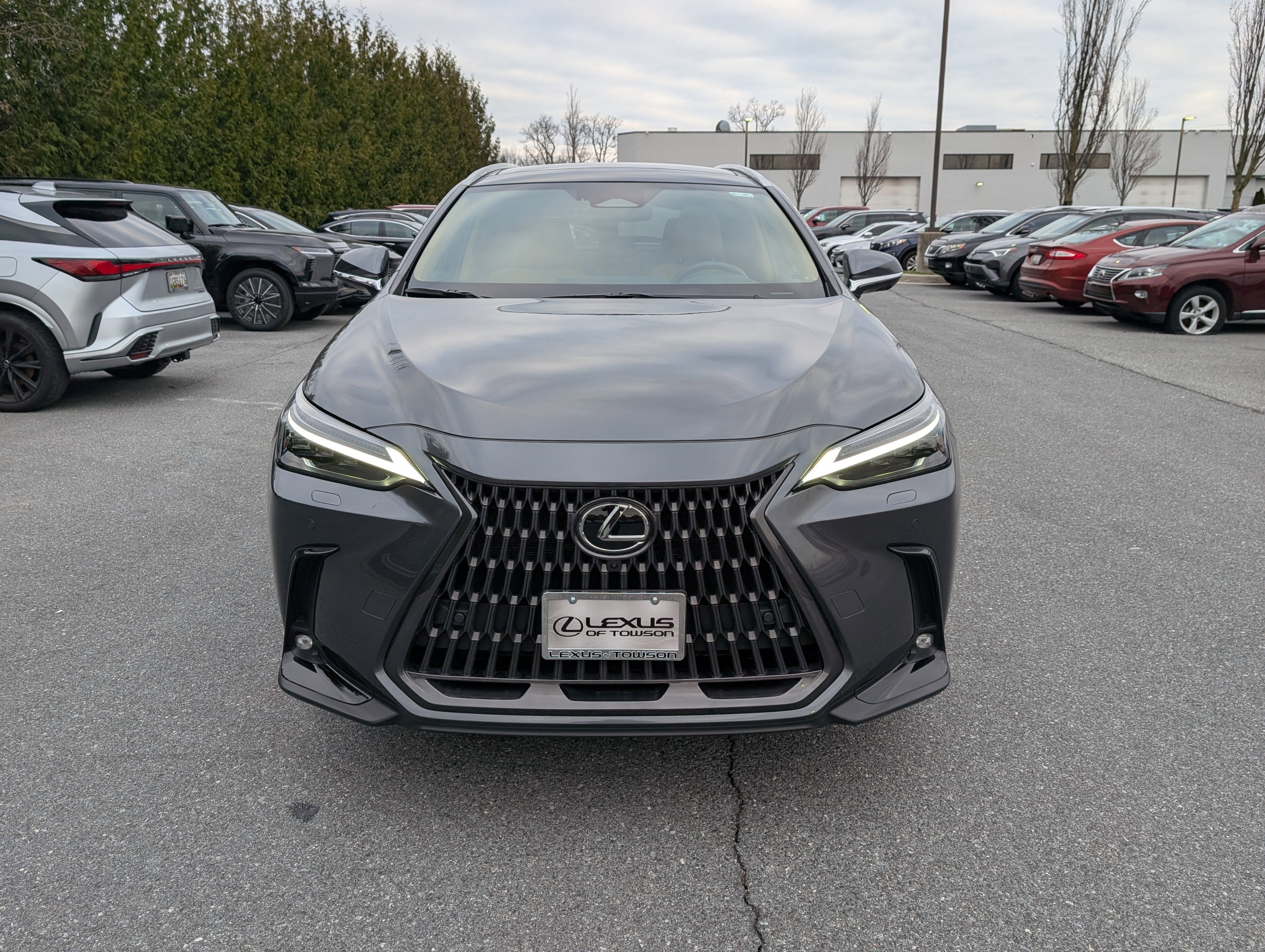 2025 Lexus NX 350 Luxury