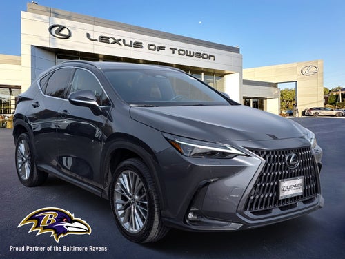 2024 Lexus NX 350 Luxury