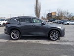2024 Lexus NX 350 Luxury