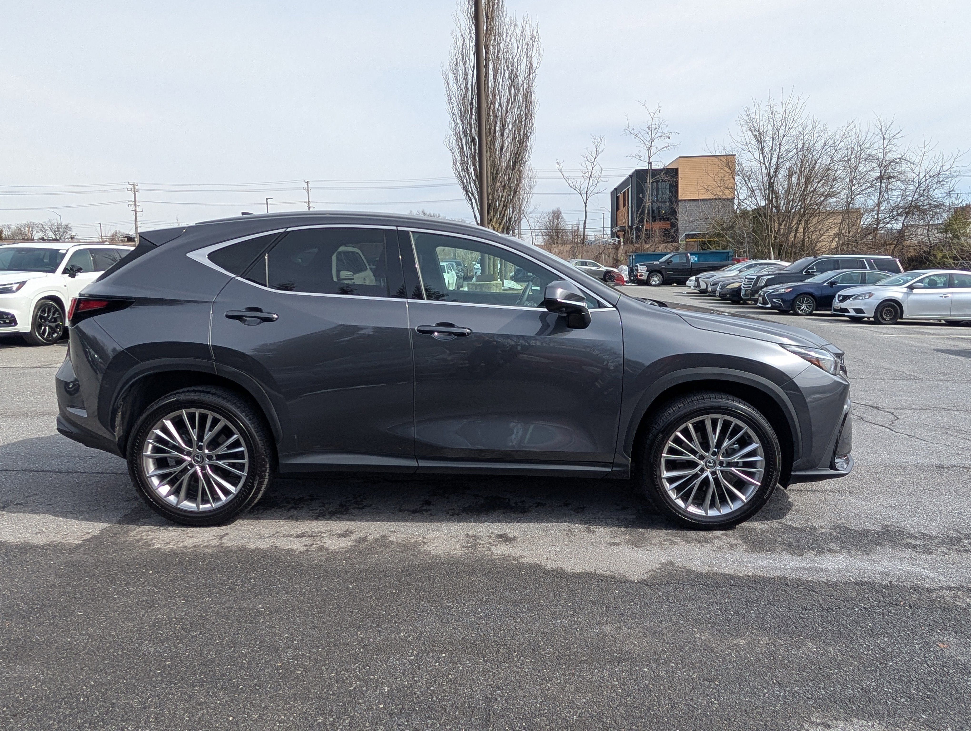 2024 Lexus NX 350 Luxury