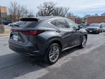 2024 Lexus NX 350 Luxury