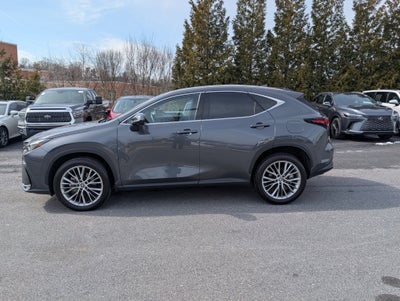 2024 Lexus NX 350 Luxury