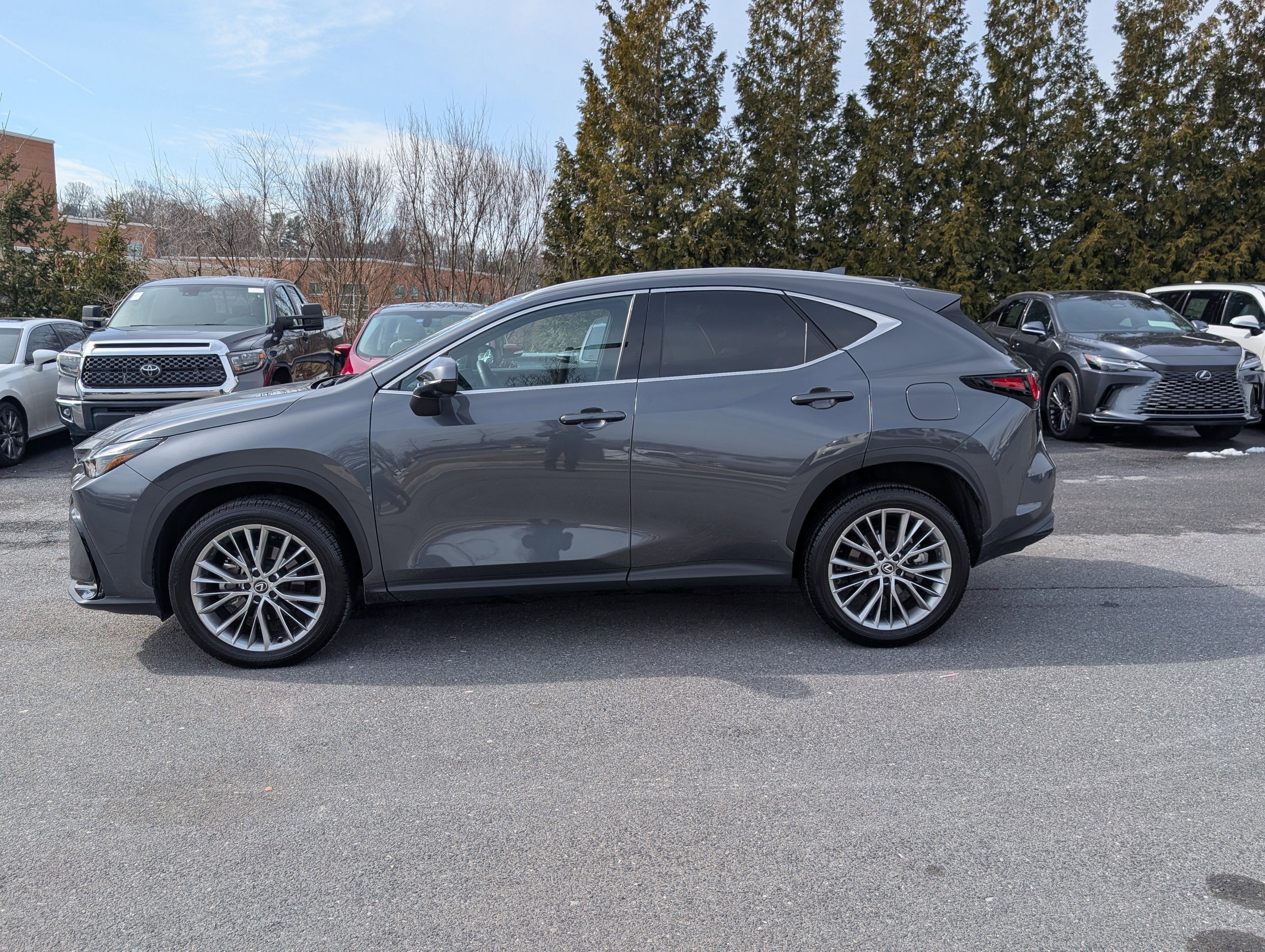 2024 Lexus NX 350 Luxury