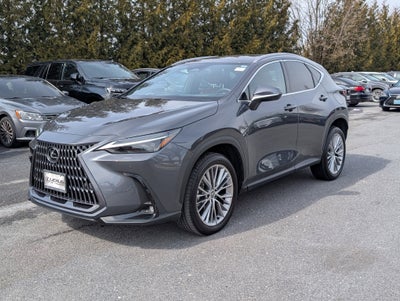 2024 Lexus NX 350 Luxury