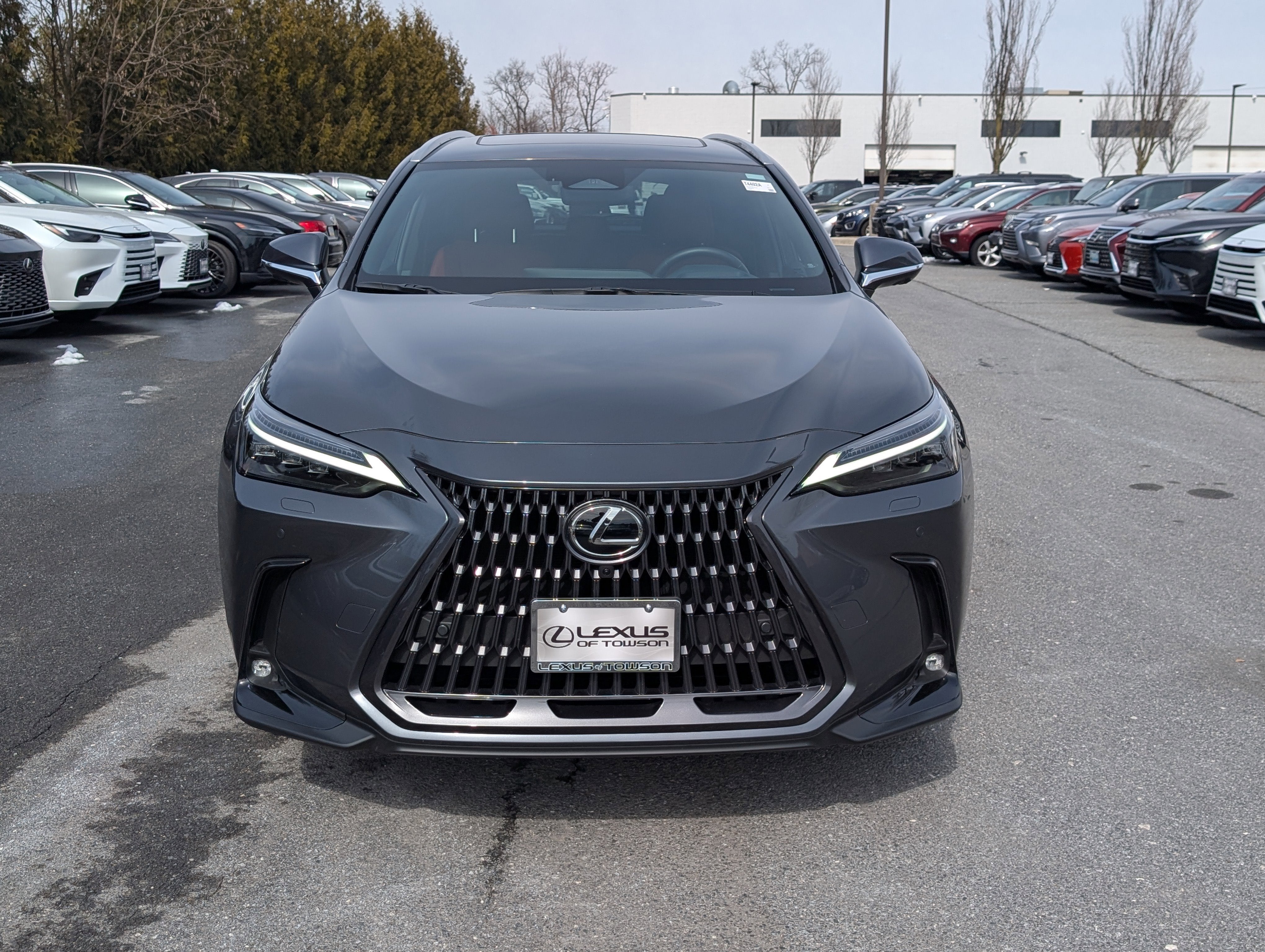 2024 Lexus NX 350 Luxury