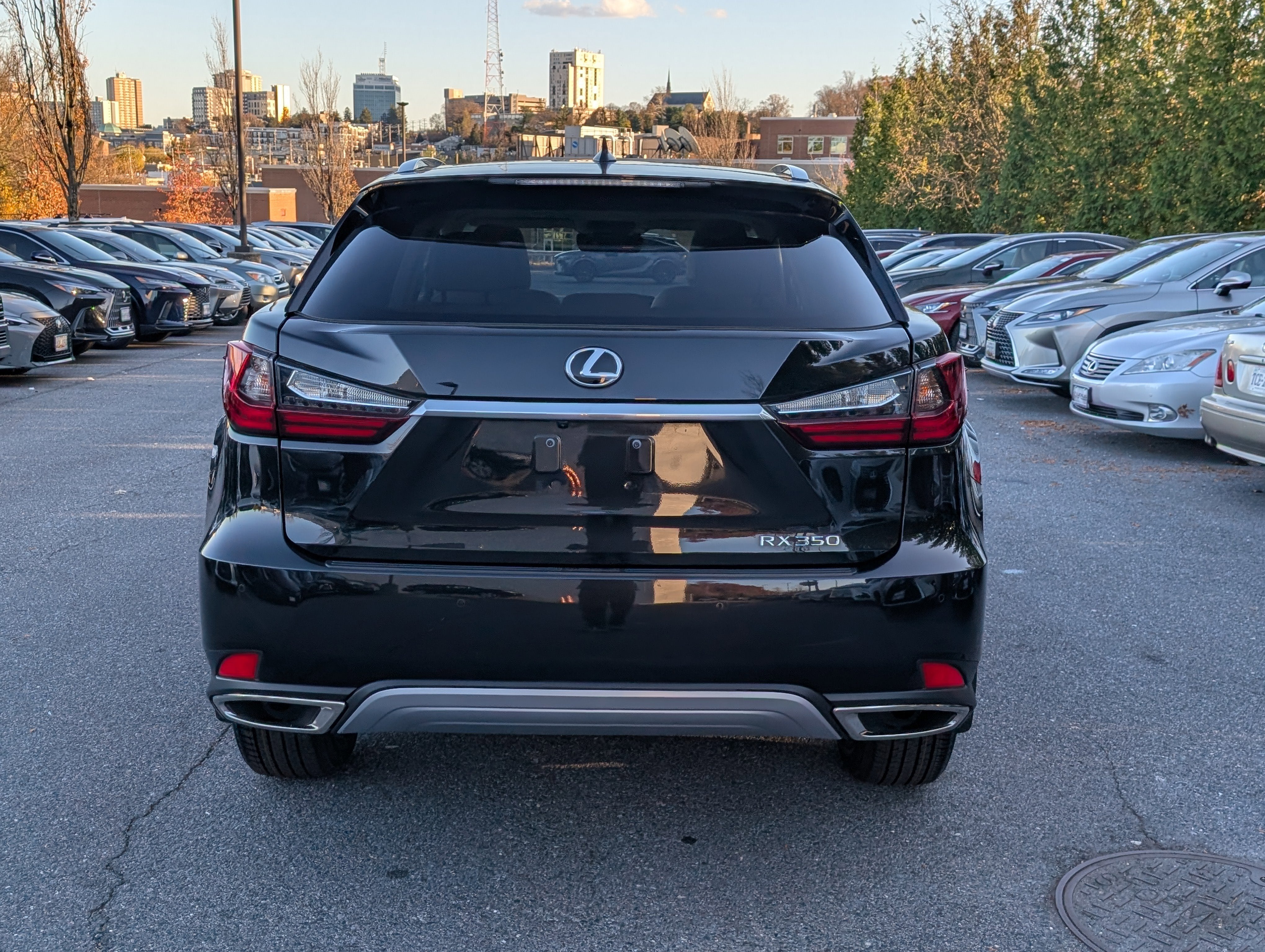 2022 Lexus RX 350