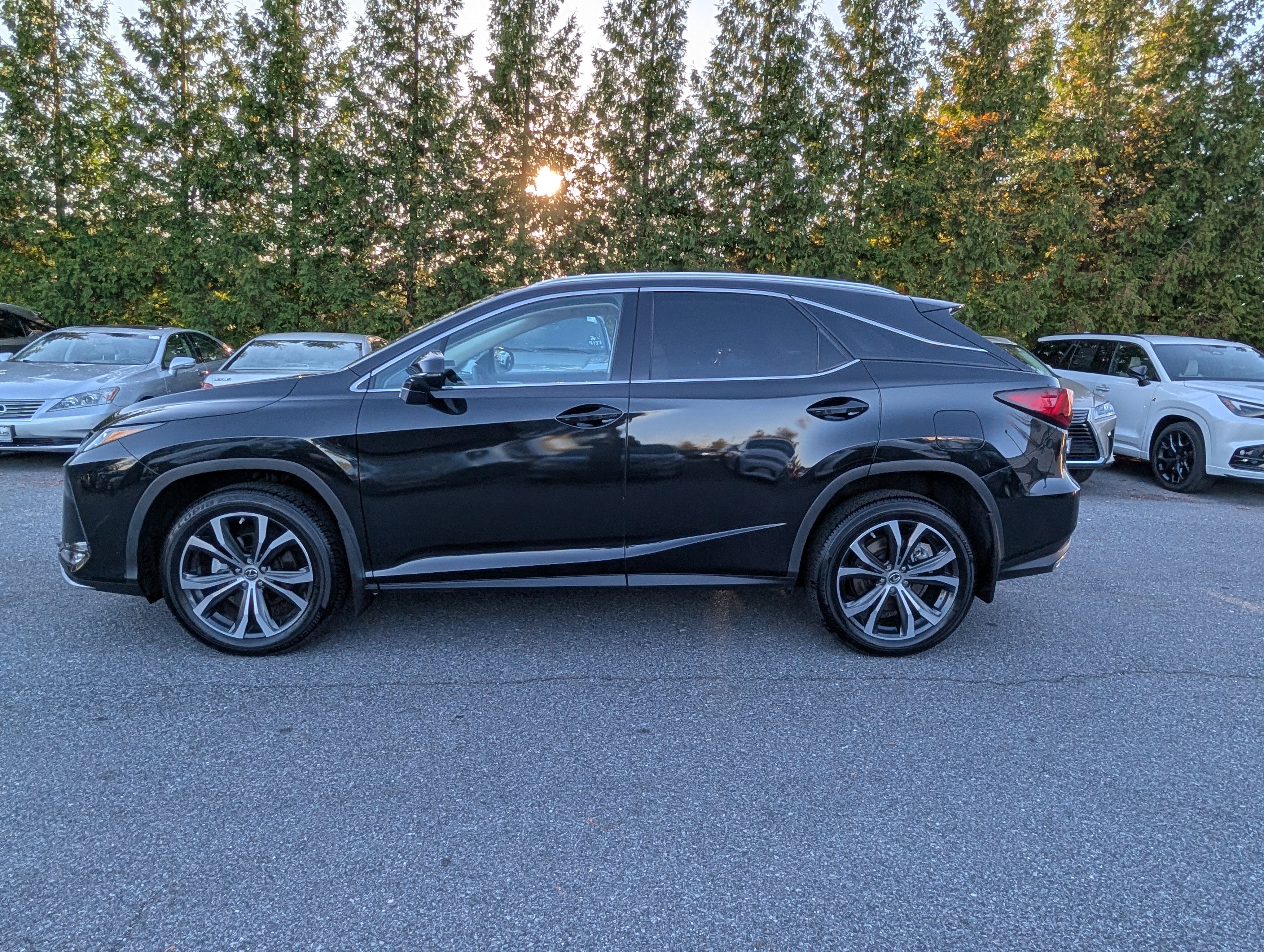 2022 Lexus RX 350