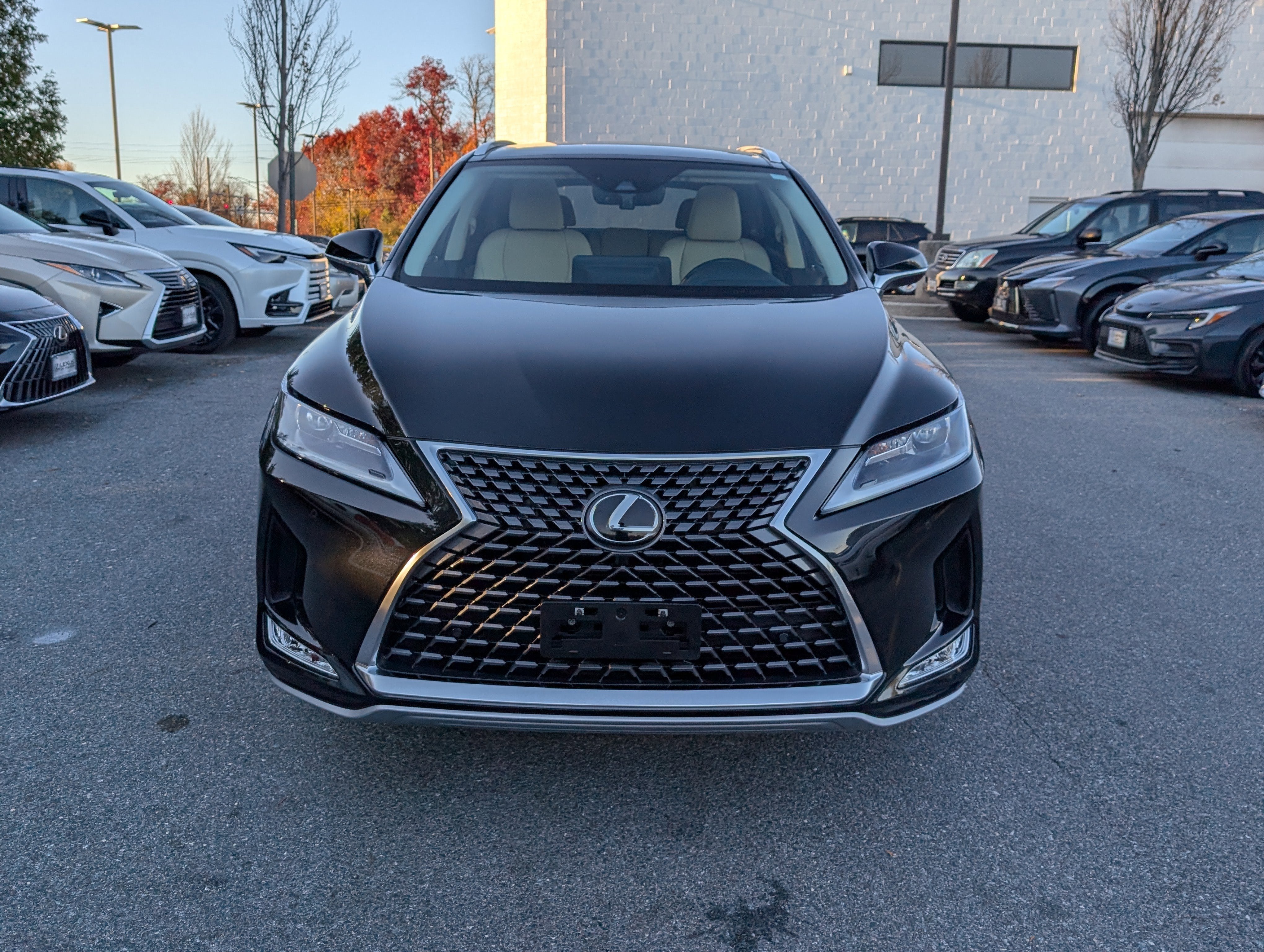 2022 Lexus RX 350