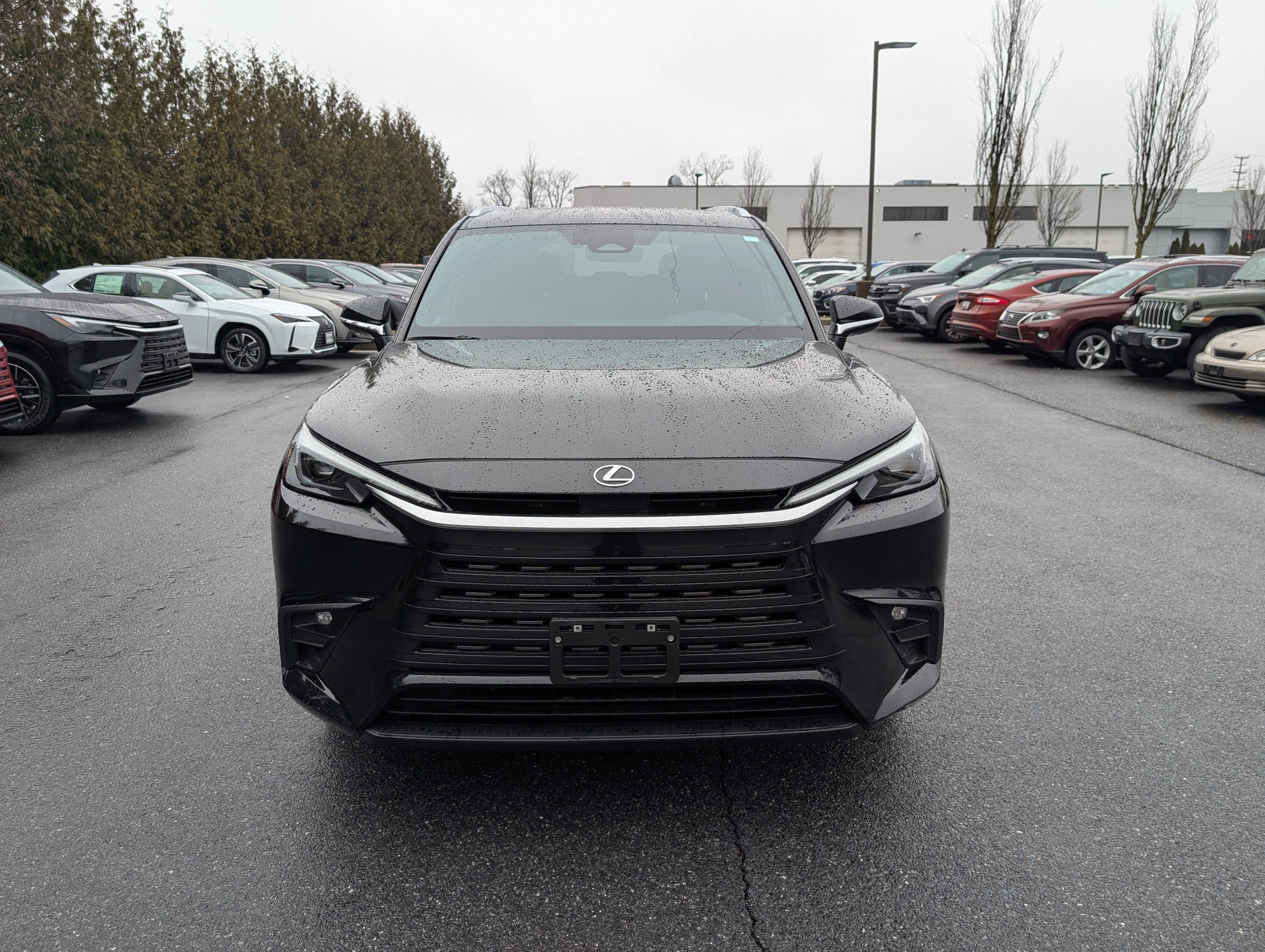 2024 Lexus TX TX 350 Premium