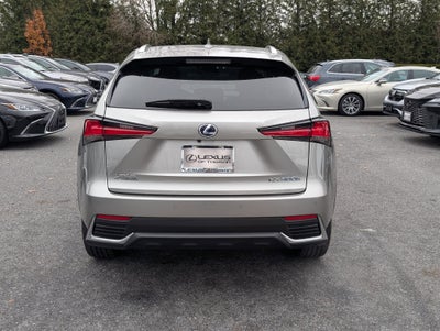 2020 Lexus NX 300h