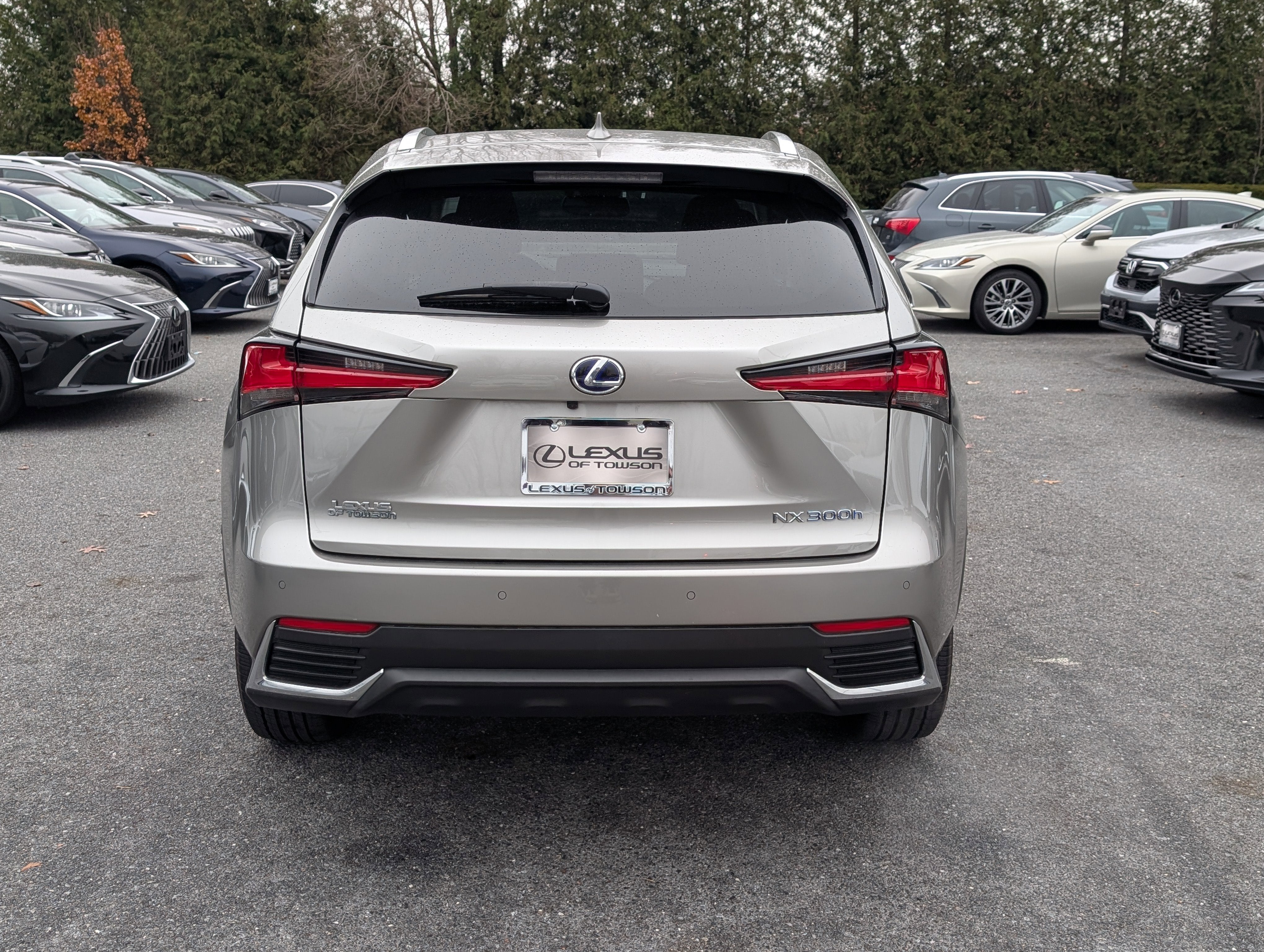 2020 Lexus NX 300h